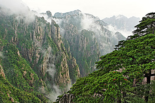 迷幻的水批发价格C1B8D97C5-18975